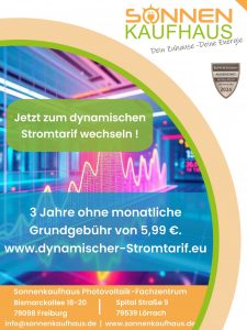 Was ist ein dynamischer Stromtarif?